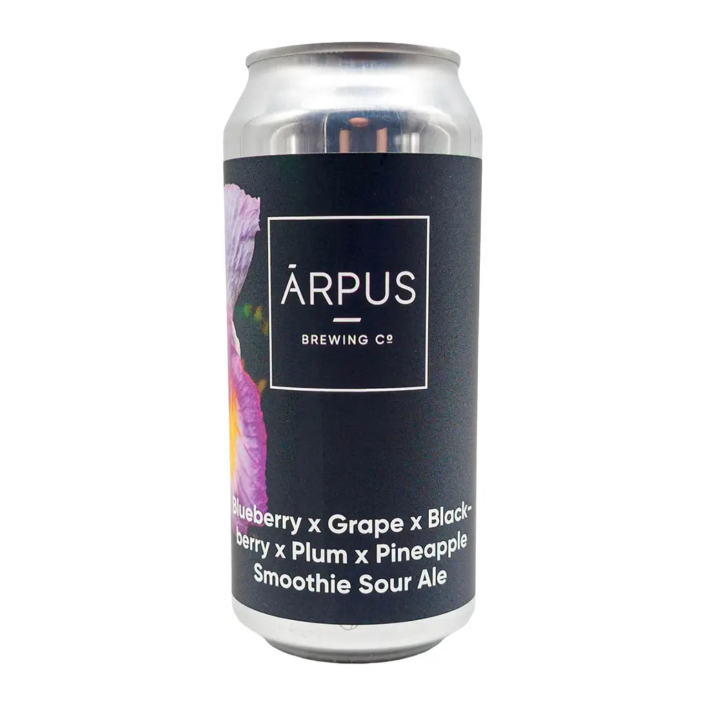 Ārpus - Blueberry X Grape X Blackberry X Plum X Pineapple Smoothie Sour Ale